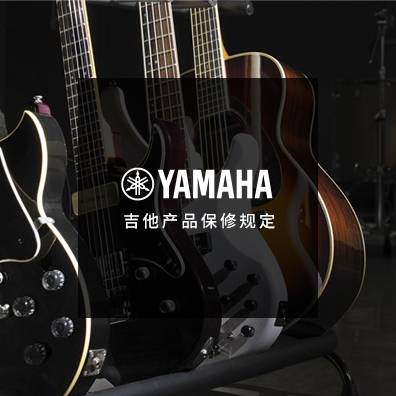吉他、贝斯和音箱